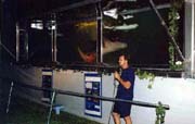 shark1sm.jpg (12404 bytes)