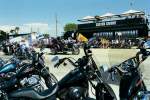 110.JPG